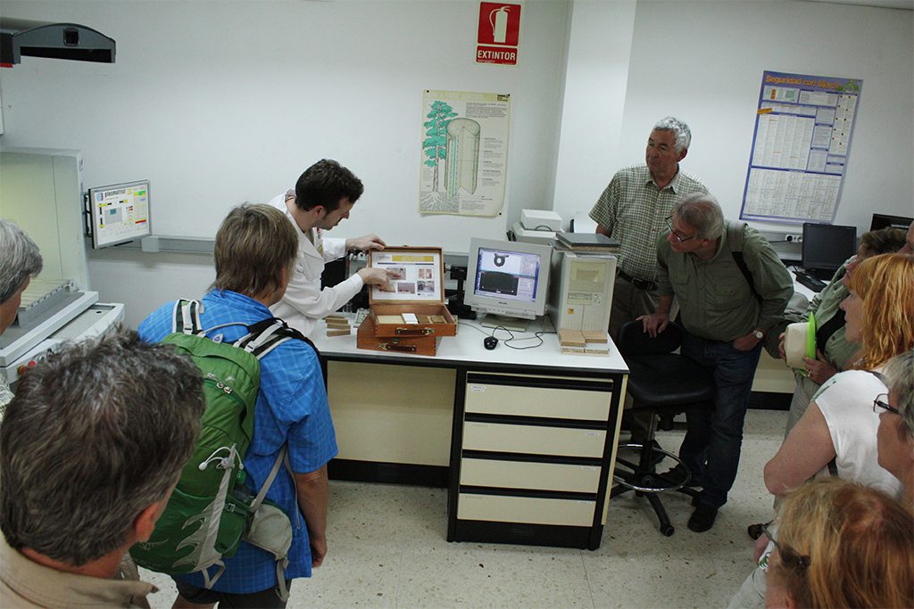 Un momento durante la explicación del proyecto WoodRub, en AIDIMME.