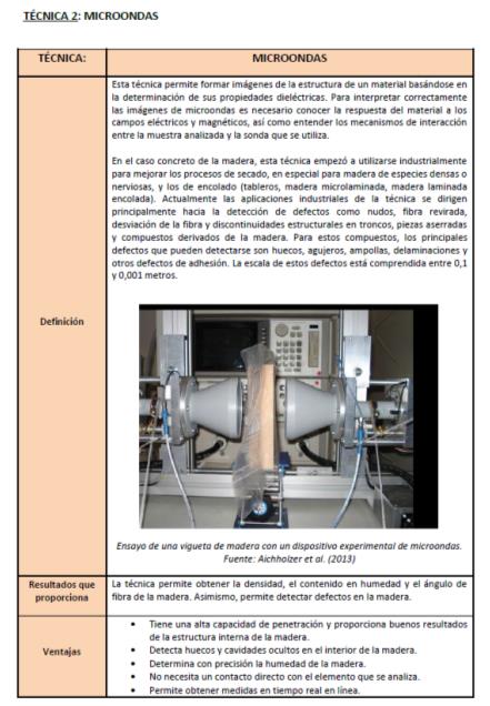 Imagen 4. Primera hoja de la ficha de la técnica de microondas.