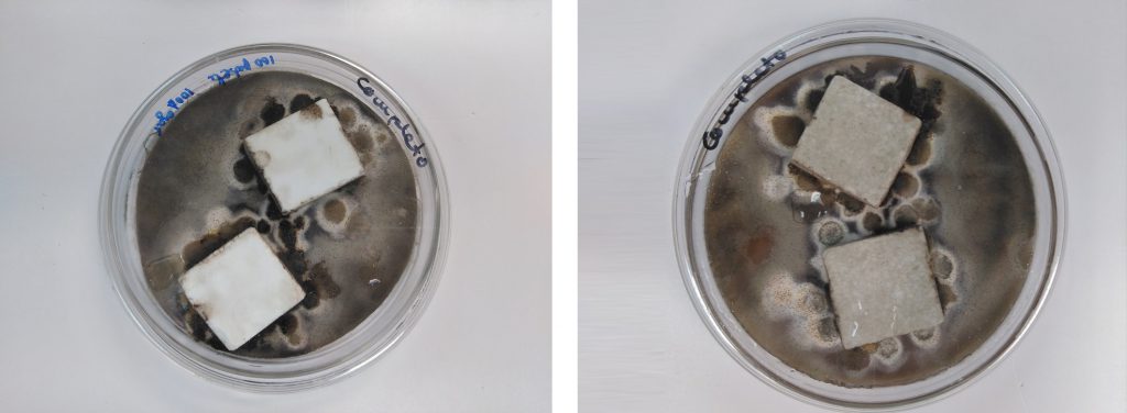 Ejemplo de ensayo de caracterización antimicrobiana frente a hongos de dos sustratos distintos. AIDIMME