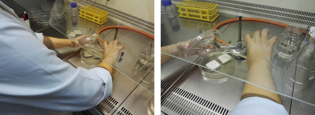 Preparación del ensayo de caracterización antimicrobiana frente a bacterias en dos sustratos de ensayo diferentes. AIDIMME
