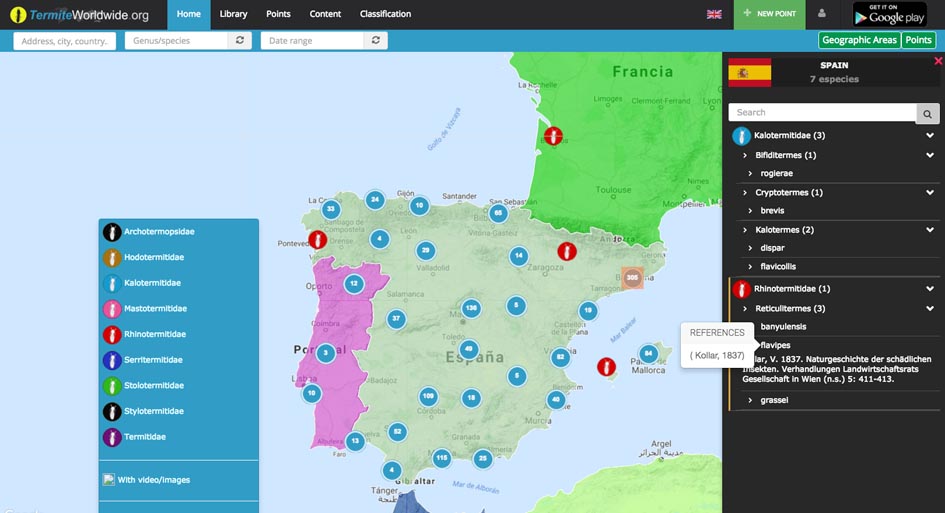 Primeras localizaciones de termitas en España en el sistema termiteworldwide.org.