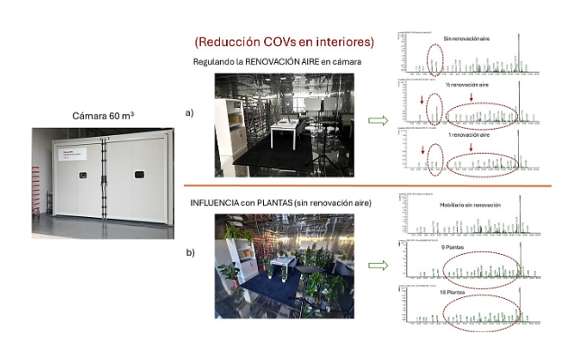 RealCOV comparativa de datos 