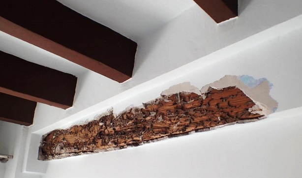 SMARMIOT previene la degradación de la madera.